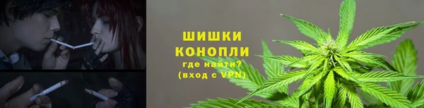 тгк Балабаново