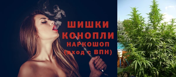 прущие крисы Армянск