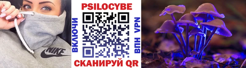 Галлюциногенные грибы прущие грибы  Ершов 
